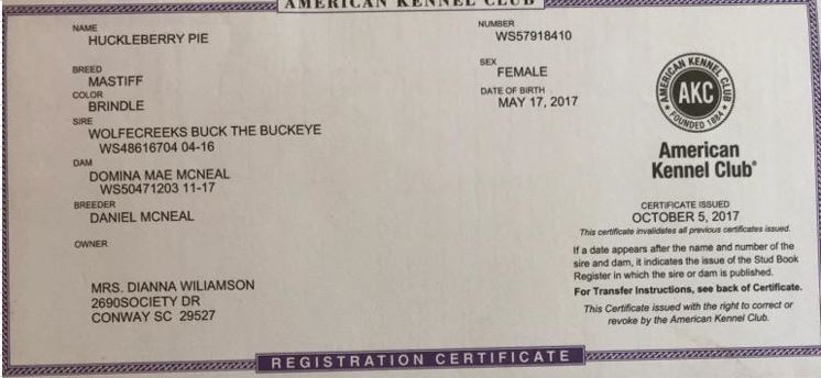 Huckelberry Registration Cirtificate