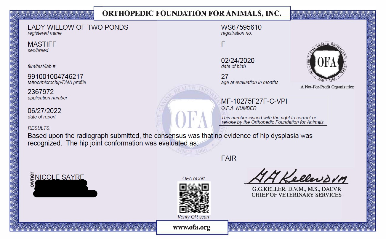 OFA Certificate Willow-B